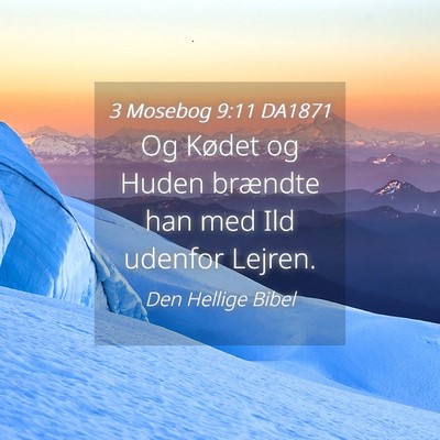 Picture 04 - 3 Mosebog 9:11 DA1871 - Og Kødet og Huden brændte han med Ild udenfor - Bible Verse Picture