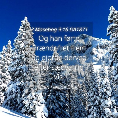 Picture 04 - 3 Mosebog 9:16 DA1871 - Og han førte Brændofret frem og gjorde derved - Bible Verse Picture
