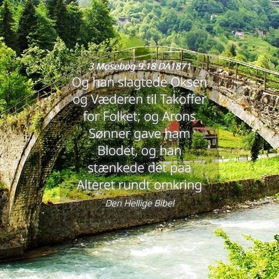 Picture 04 - 3 Mosebog 9:18 DA1871 - Og han slagtede Oksen og Væderen til Takoffer - Bible Verse Picture