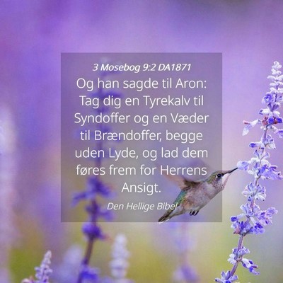 Picture 04 - 3 Mosebog 9:2 DA1871 - Og han sagde til Aron: Tag dig en Tyrekalv til - Bible Verse Picture