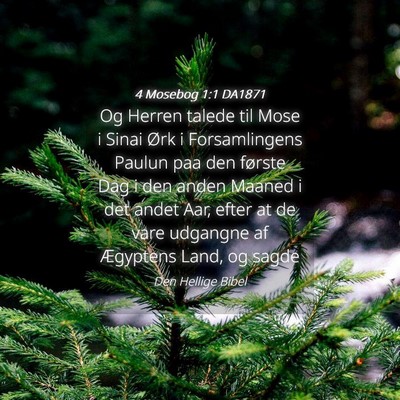 Picture 04 - 4 Mosebog 1:1 DA1871 - Og Herren talede til Mose i Sinai Ørk i - Bible Verse Picture