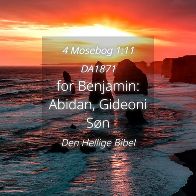 Picture 04 - 4 Mosebog 1:11 DA1871 - for Benjamin: Abidan, Gideoni - Bible Verse Picture