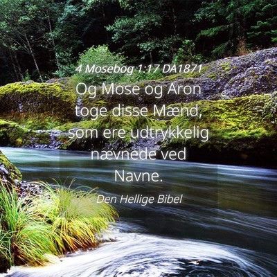 Picture 04 - 4 Mosebog 1:17 DA1871 - Og Mose og Aron toge disse Mænd, som ere - Bible Verse Picture