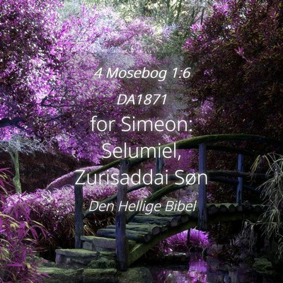 Picture 04 - 4 Mosebog 1:6 DA1871 - for Simeon: Selumiel, Zurisaddai - Bible Verse Picture