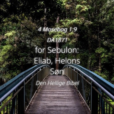 Picture 04 - 4 Mosebog 1:9 DA1871 - for Sebulon: Eliab, Helons - Bible Verse Picture