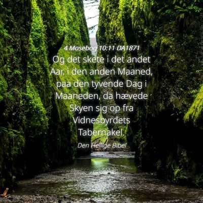 Picture 04 - 4 Mosebog 10:11 DA1871 - Og det skete i det andet Aar, i den anden Maaned, - Bible Verse Picture