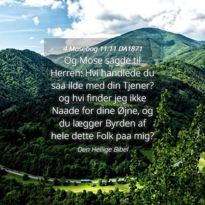 Picture 04 - 4 Mosebog 11:11 DA1871 - Og Mose sagde til Herren: Hvi handlede du saa - Bible Verse Picture
