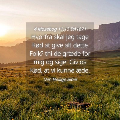 Picture 04 - 4 Mosebog 11:13 DA1871 - Hvorfra skal jeg tage Kød at give alt dette - Bible Verse Picture