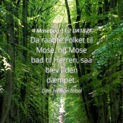 Picture 04 - 4 Mosebog 11:2 DA1871 - Da raabte Folket til Mose, og Mose bad til - Bible Verse Picture