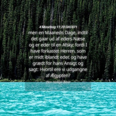Picture 04 - 4 Mosebog 11:20 DA1871 - men en Maaneds Dage, indtil det gaar ud af eders - Bible Verse Picture