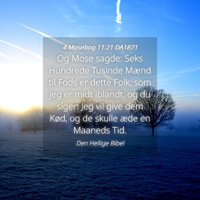 Picture 04 - 4 Mosebog 11:21 DA1871 - Og Mose sagde: Seks Hundrede Tusinde Mænd til - Bible Verse Picture