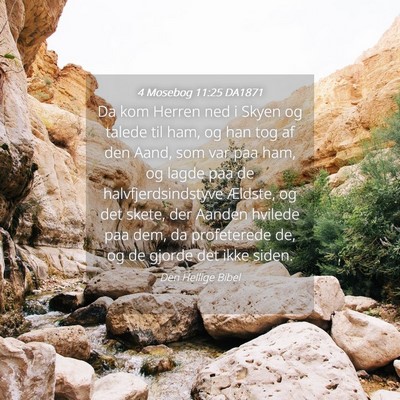 Picture 04 - 4 Mosebog 11:25 DA1871 - Da kom Herren ned i Skyen og talede til ham, og - Bible Verse Picture