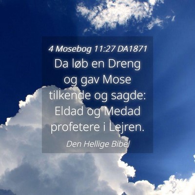 Picture 04 - 4 Mosebog 11:27 DA1871 - Da løb en Dreng og gav Mose tilkende og sagde: - Bible Verse Picture