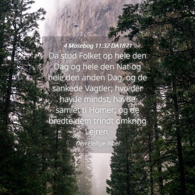Picture 04 - 4 Mosebog 11:32 DA1871 - Da stod Folket op hele den Dag og hele den Nat og - Bible Verse Picture