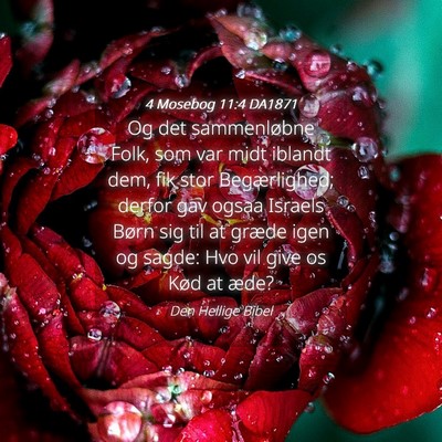 Picture 04 - 4 Mosebog 11:4 DA1871 - Og det sammenløbne Folk, som var midt iblandt - Bible Verse Picture