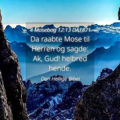 Picture 04 - 4 Mosebog 12:13 DA1871 - Da raabte Mose til Herren og sagde: Ak, Gud! - Bible Verse Picture