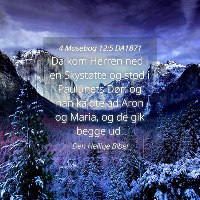 Picture 04 - 4 Mosebog 12:5 DA1871 - Da kom Herren ned i en Skystøtte og stod i - Bible Verse Picture