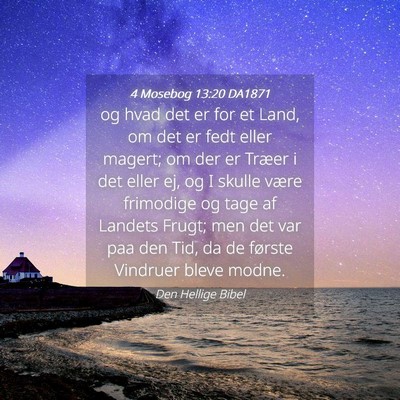 Picture 04 - 4 Mosebog 13:20 DA1871 - og hvad det er for et Land, om det er fedt eller - Bible Verse Picture