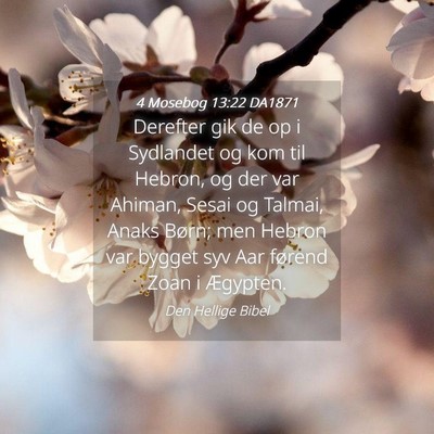 Picture 04 - 4 Mosebog 13:22 DA1871 - Derefter gik de op i Sydlandet og kom til Hebron, - Bible Verse Picture