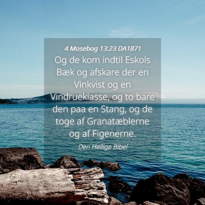 Picture 04 - 4 Mosebog 13:23 DA1871 - Og de kom indtil Eskols Bæk og afskare der en - Bible Verse Picture