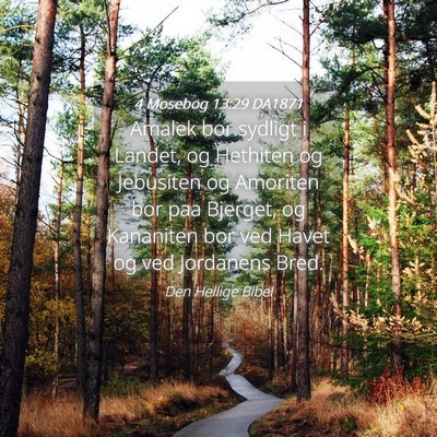 Picture 04 - 4 Mosebog 13:29 DA1871 - Amalek bor sydligt i Landet, og Hethiten og - Bible Verse Picture