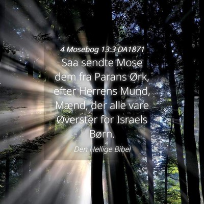 Picture 04 - 4 Mosebog 13:3 DA1871 - Saa sendte Mose dem fra Parans Ørk, efter - Bible Verse Picture