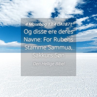 Picture 04 - 4 Mosebog 13:4 DA1871 - Og disse ere deres Navne: For Rubens Stamme - Bible Verse Picture