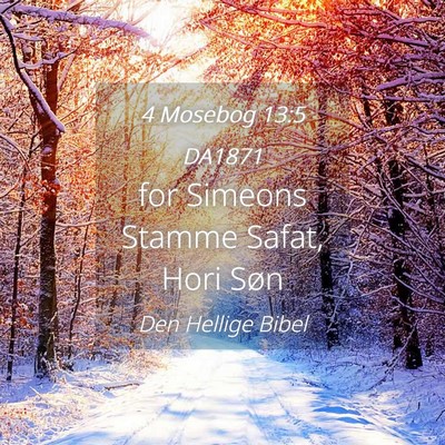 Picture 04 - 4 Mosebog 13:5 DA1871 - for Simeons Stamme Safat, Hori - Bible Verse Picture