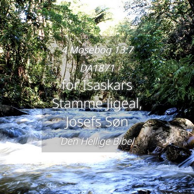 Picture 04 - 4 Mosebog 13:7 DA1871 - for Isaskars Stamme Jigeal, Josefs - Bible Verse Picture