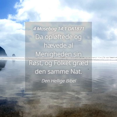 Picture 04 - 4 Mosebog 14:1 DA1871 - Da opløftede og hævede al Menigheden sin Røst, - Bible Verse Picture