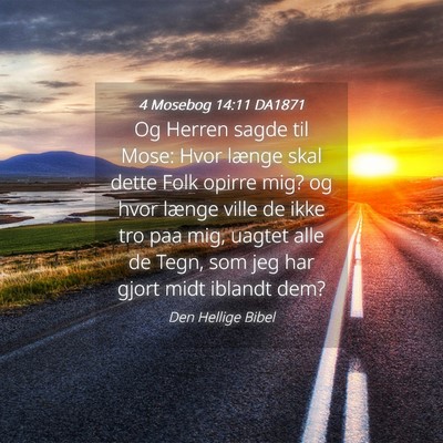 Picture 04 - 4 Mosebog 14:11 DA1871 - Og Herren sagde til Mose: Hvor længe skal dette - Bible Verse Picture