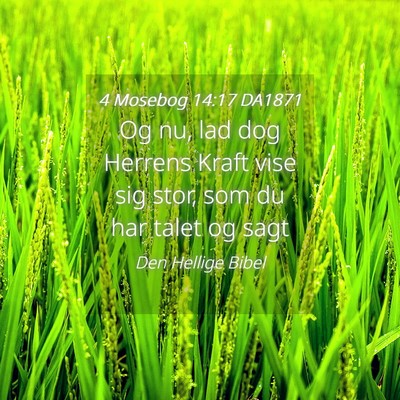 Picture 04 - 4 Mosebog 14:17 DA1871 - Og nu, lad dog Herrens Kraft vise sig stor, som - Bible Verse Picture