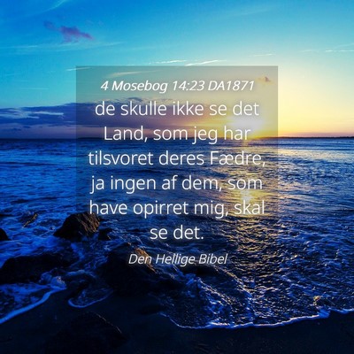 Picture 04 - 4 Mosebog 14:23 DA1871 - de skulle ikke se det Land, som jeg har tilsvoret - Bible Verse Picture