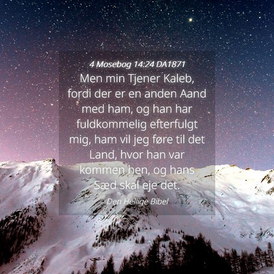 Picture 04 - 4 Mosebog 14:24 DA1871 - Men min Tjener Kaleb, fordi der er en anden Aand - Bible Verse Picture