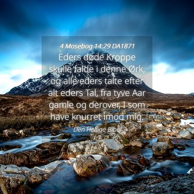Picture 04 - 4 Mosebog 14:29 DA1871 - Eders døde Kroppe skulle falde i denne Ørk, og - Bible Verse Picture
