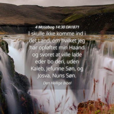 Picture 04 - 4 Mosebog 14:30 DA1871 - I skulle ikke komme ind i det Land, om hvilket - Bible Verse Picture