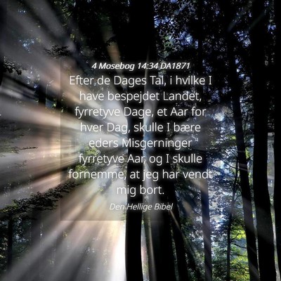 Picture 04 - 4 Mosebog 14:34 DA1871 - Efter de Dages Tal, i hvilke I have bespejdet - Bible Verse Picture