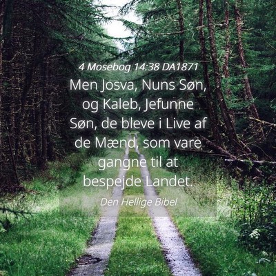 Picture 04 - 4 Mosebog 14:38 DA1871 - Men Josva, Nuns Søn, og Kaleb, Jefunne Søn, de - Bible Verse Picture