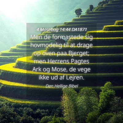 Picture 04 - 4 Mosebog 14:44 DA1871 - Men de formastede sig hovmodelig til at drage op - Bible Verse Picture