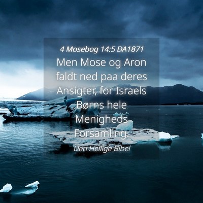 Picture 04 - 4 Mosebog 14:5 DA1871 - Men Mose og Aron faldt ned paa deres Ansigter, - Bible Verse Picture