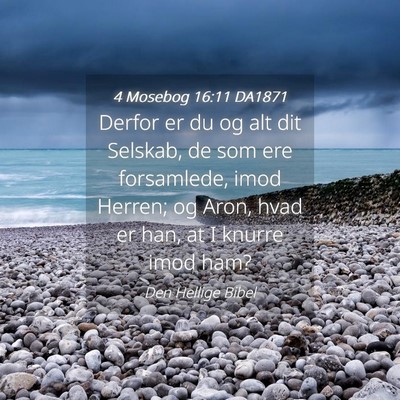 Picture 04 - 4 Mosebog 16:11 DA1871 - Derfor er du og alt dit Selskab, de som ere - Bible Verse Picture