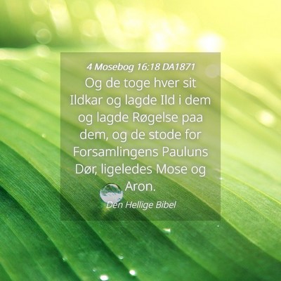 Picture 04 - 4 Mosebog 16:18 DA1871 - Og de toge hver sit Ildkar og lagde Ild i dem og - Bible Verse Picture