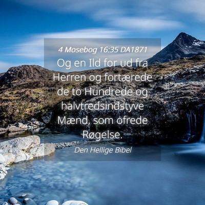 Picture 04 - 4 Mosebog 16:35 DA1871 - Og en Ild for ud fra Herren og fortærede de to - Bible Verse Picture