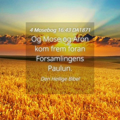 Picture 04 - 4 Mosebog 16:43 DA1871 - Og Mose og Aron kom frem foran Forsamlingens - Bible Verse Picture