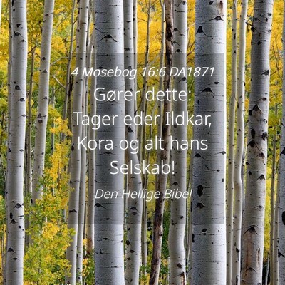 Picture 04 - 4 Mosebog 16:6 DA1871 - Gører dette: Tager eder Ildkar, Kora og alt hans - Bible Verse Picture