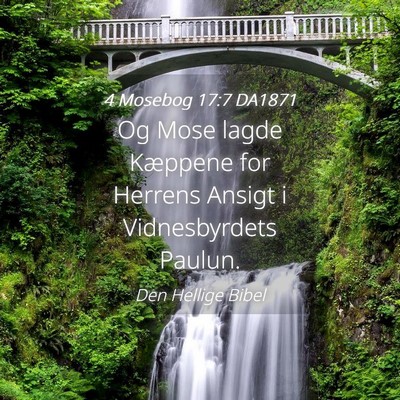 Picture 04 - 4 Mosebog 17:7 DA1871 - Og Mose lagde Kæppene for Herrens Ansigt i - Bible Verse Picture