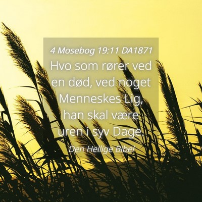 Picture 04 - 4 Mosebog 19:11 DA1871 - Hvo som rører ved en død, ved noget Menneskes - Bible Verse Picture