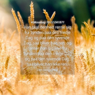 Picture 04 - 4 Mosebog 19:12 DA1871 - Han skal dermed rense sig fra Synden paa den - Bible Verse Picture