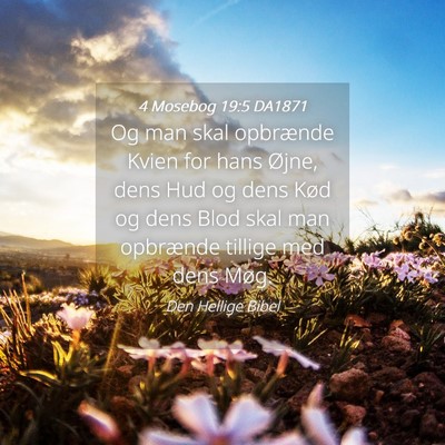 Picture 04 - 4 Mosebog 19:5 DA1871 - Og man skal opbrænde Kvien for hans Øjne, dens - Bible Verse Picture