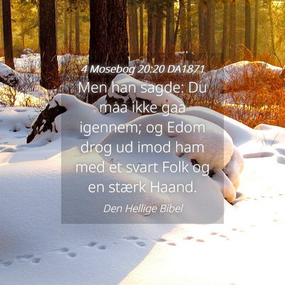 Picture 04 - 4 Mosebog 20:20 DA1871 - Men han sagde: Du maa ikke gaa igennem; og Edom - Bible Verse Picture